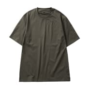 ダークオリーブ