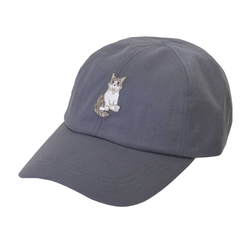 保護猫