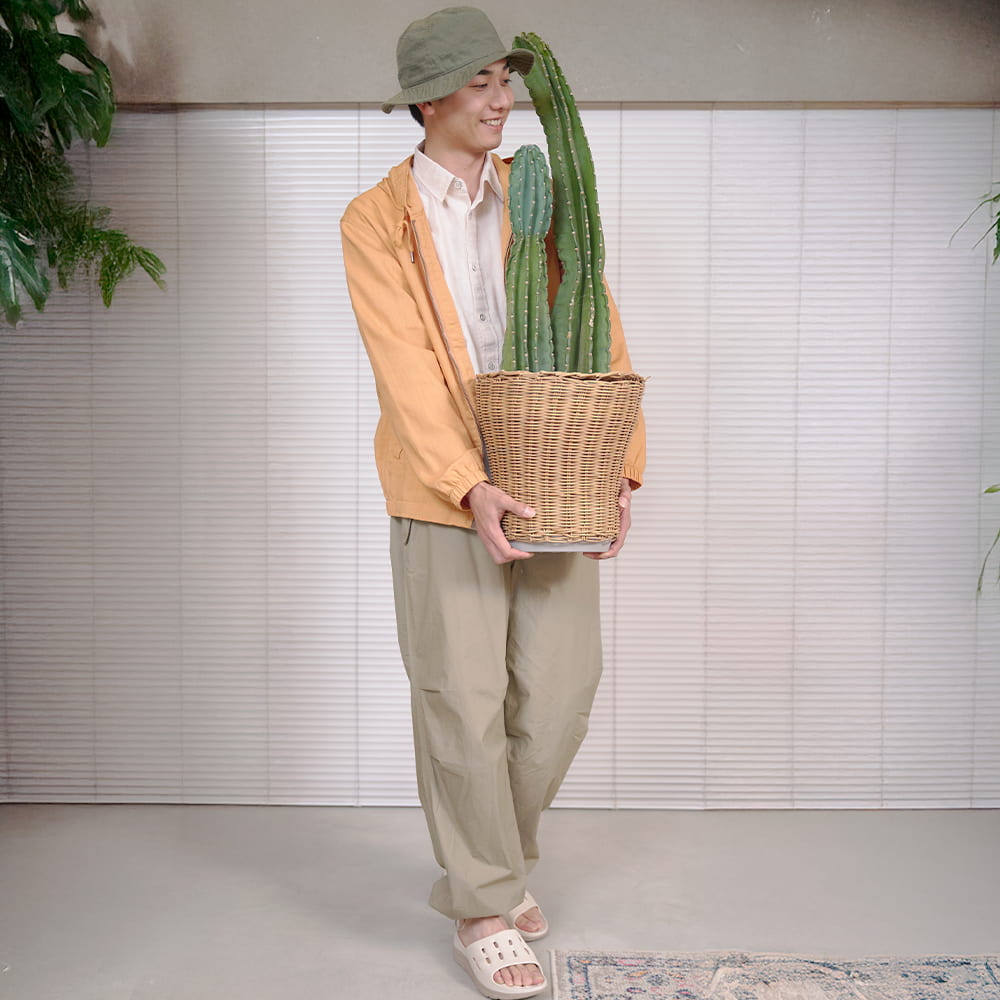 ピーコックブルー