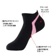 シロ