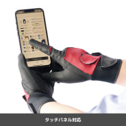 クロアカ