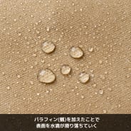 オリーブ