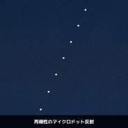 ネイビー